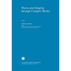 Waves and Imaging Through Complex Media Paperback, Springer