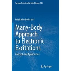 Many-Body Approach to Electronic Excitations: Concepts and Applications Paperback, Springer
