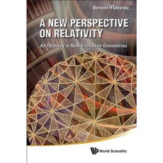 A New Perspective on Relativity: An Odyssey in Non-Euclidean Geometries Hardcover, World Scientific Publishing Company