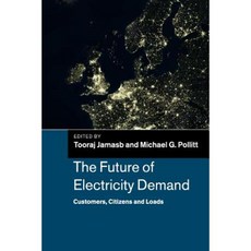 The Future of Electricity Demand Paperback, Cambridge University Press