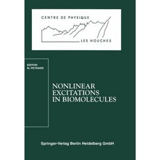 Nonlinear Excitations in Biomolecules Paperback, Springer