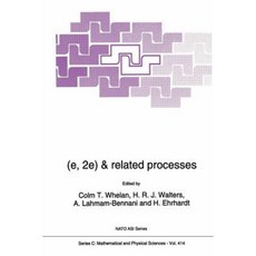 (E 2e) & Related Processes Paperback, Springer
