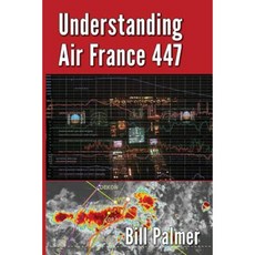 Understanding Air France 447 Paperback, William Palmer