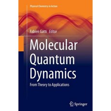 Molecular Quantum Dynamics: From Theory to Applications Paperback, Springer