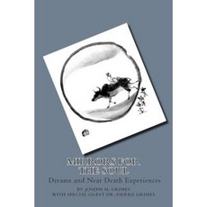 Mirrors for the Soul: Dreams and Near Death Experience Paperback, Createspace