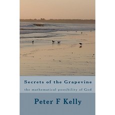 Secrets of the Grapevine: The Mathematical Possibility of God Paperback, Createspace