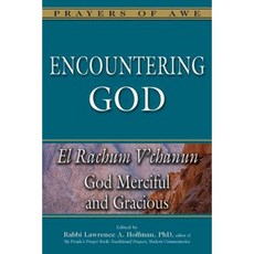Encountering God: God Merciful and Gracious--El Rachum V'Chanun Hardcover, Jewish Lights Publishing