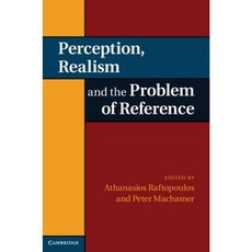 Perception Realism and the Problem of Reference Hardcover, Cambridge University Press