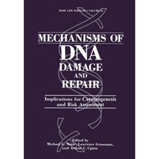 Mechanisms of DNA Damage and Repair: Implications for Carcinogenesis and Risk Assessment Paperback, Springer