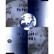 Strategic Management in the Global Economy Paperback, Wiley