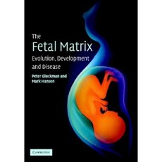 The Fetal Matrix: Evolution Development and Disease Paperback, Cambridge University Press