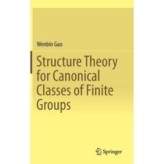 Structure Theory for Canonical Classes of Finite Groups Hardcover, Springer