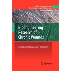 Bioengineering Research of Chronic Wounds: A Multidisciplinary Study Approach Paperback, Springer
