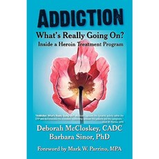 Addiction--What's Really Going On?: Inside a Heroin Treatment Program Paperback, Loving Healing Press