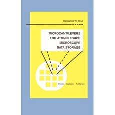 Microcantilevers for Atomic Force Microscope Data Storage Hardcover, Springer