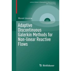 Adaptive Discontinuous Galerkin Methods for Non-Linear Reactive Flows Paperback, Birkhauser