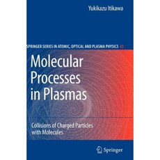 Molecular Processes in Plasmas: Collisions of Charged Particles with Molecules Paperback, Springer