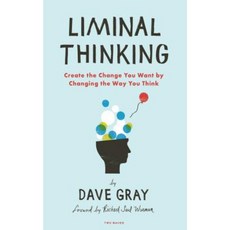 Liminal Thinking: Create the Change You Want by Changing the Way You Think Paperback, Two Waves Books