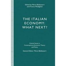 The Italian Economy: What Next? Paperback, Palgrave MacMillan