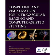 Computing and Visualization for Intravascular Imaging and Computer-Assisted Stenting Hardcover, Academic Press