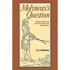 Molyneux's Question: Vision Touch and the Philosophy of Perception Paperback, Cambridge University Press