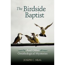 The Birdside Baptist Paperback, Half Acre Press