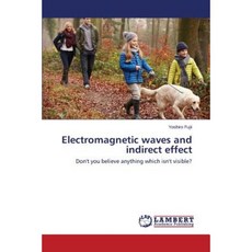 Electromagnetic Waves and Indirect Effect Paperback, LAP Lambert Academic Publishing
