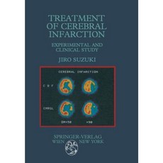 Treatment of Cerebral Infarction: Experimental and Clinical Study Paperback, Springer