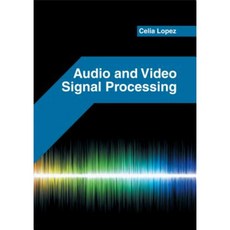 Audio and Video Signal Processing Hardcover, Willford Press