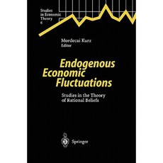 Endogenous Economic Fluctuations: Studies in the Theory of Rational Beliefs Paperback, Springer