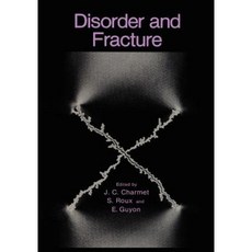Disorder and Fracture Paperback, Springer