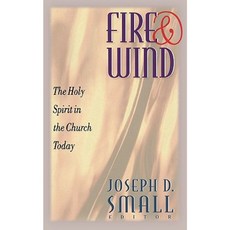 Fire and Wind: The Holy Spirit in the Church Today Paperback, Westminster John Knox Press