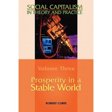 Prosperity in a Stable World--Volume 3 of Social Capitalism in Theory and Practice Paperback, Arena Books Ltd