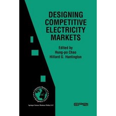 Designing Competitive Electricity Markets Paperback, Springer