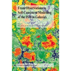 From Observations to Self-Consistent Modelling of the Ism in Galaxies Hardcover, Springer
