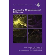 Measuring Organisational Efficiency Paperback, College Publications