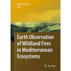 Earth Observation of Wildland Fires in Mediterranean Ecosystems Hardcover, Springer