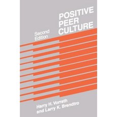 Positive Peer Culture Paperback, Routledge