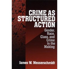 Crime as Structured Action: Gender Race Class and Crime in the Making Hardcover, Sage Publications, Inc