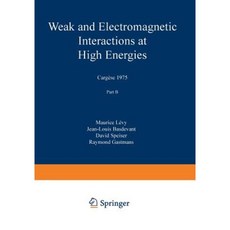 Weak and Electromagnetic Interactions at High Energies: Cargese 1975 Part B Paperback, Springer