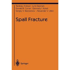 Spall Fracture Hardcover, Springer