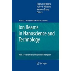 Ion Beams in Nanoscience and Technology Paperback, Springer