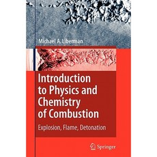 Introduction to Physics and Chemistry of Combustion: Explosion Flame Detonation Paperback, Springer