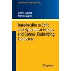 Introduction to Sofic and Hyperlinear Groups and Connes' Embedding Conjecture Paperback, Springer