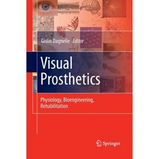 Visual Prosthetics: Physiology Bioengineering Rehabilitation Paperback, Springer
