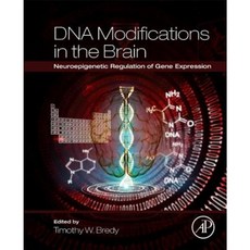 DNA Modifications in the Brain: Neuroepigenetic Regulation of Gene Expression Paperback, Academic Press