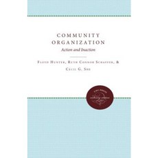 Community Organization: Action and Inaction Paperback, University of North Carolina Press