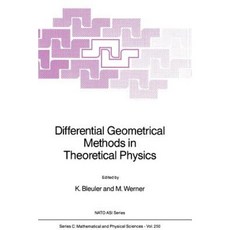 Differential Geometrical Methods in Theoretical Physics Paperback