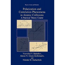 Polarization and Correlation Phenomena in Atomic Collisions: A Practical Theory Course Paperback, Springer