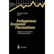 Endogenous Economic Fluctuations: Studies in the Theory of Rational Beliefs Hardcover, Springer
